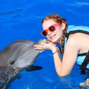 things-to-do-best-dolphin-adventure-near-me